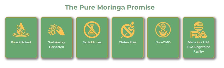 moringa-promise